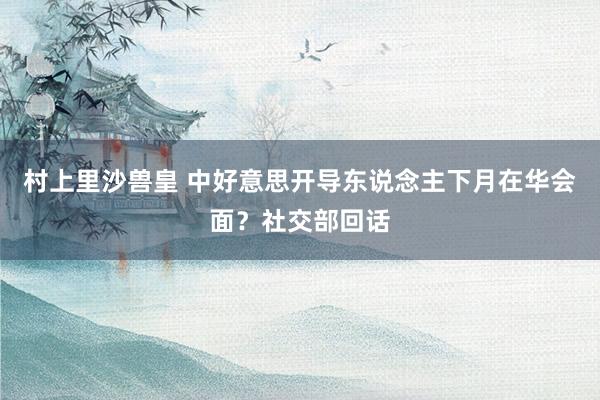 村上里沙兽皇 中好意思开导东说念主下月在华会面？社交部回话
