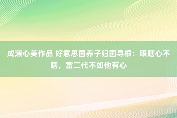 成濑心美作品 好意思国养子归国寻根：眼瞎心不瞎，富二代不如他有心