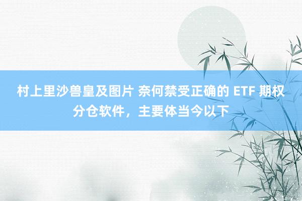 村上里沙兽皇及图片 奈何禁受正确的 ETF 期权分仓软件，主要体当今以下