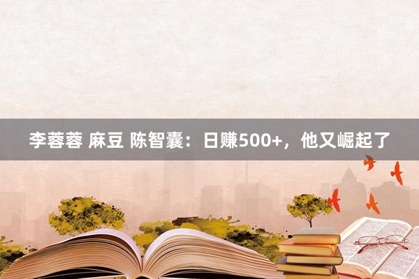 李蓉蓉 麻豆 陈智囊：日赚500+，他又崛起了