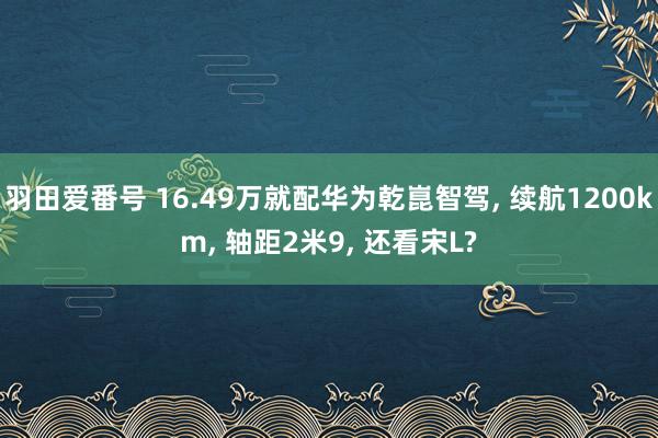 羽田爱番号 16.49万就配华为乾崑智驾， 续航1200km， 轴距2米9， 还看宋L?