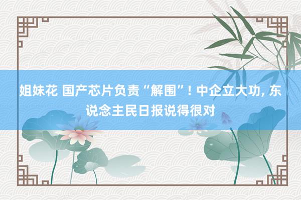姐妹花 国产芯片负责“解围”! 中企立大功， 东说念主民日报说得很对