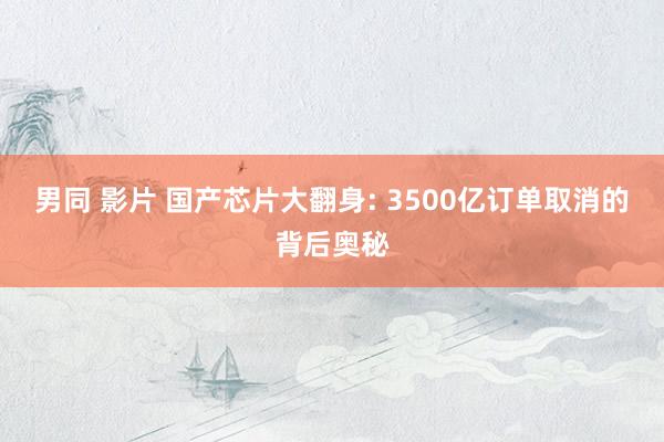 男同 影片 国产芯片大翻身: 3500亿订单取消的背后奥秘