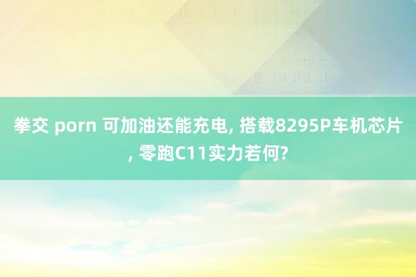 拳交 porn 可加油还能充电， 搭载8295P车机芯片， 零跑C11实力若何?