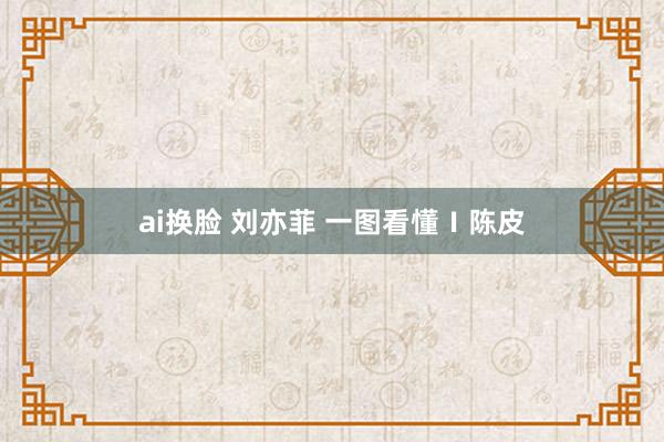 ai换脸 刘亦菲 一图看懂Ⅰ陈皮