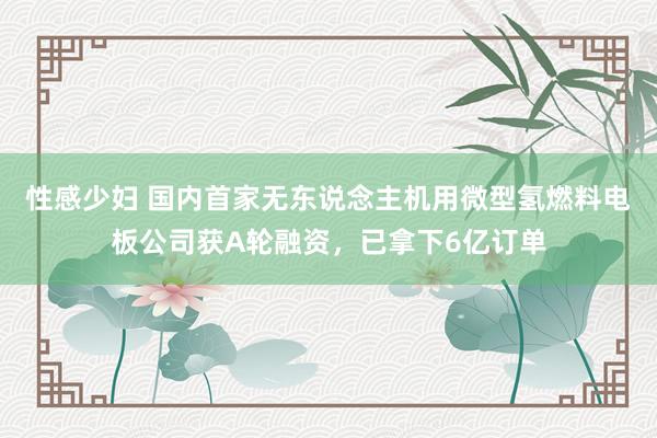 性感少妇 国内首家无东说念主机用微型氢燃料电板公司获A轮融资，已拿下6亿订单